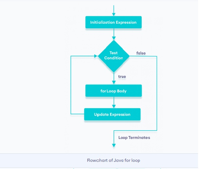 Java for Loop