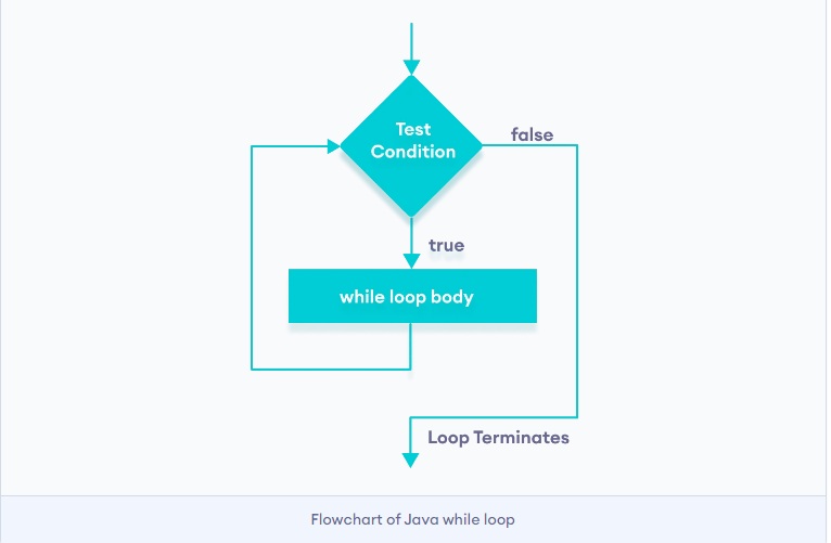 Java while loop 